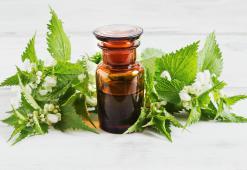 Догляд за шкірою голови для довгого і здорового волосся — найкращі домашні засоби