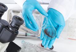 Анатомія волосся. Частина 2 — Будова стрижня волосини